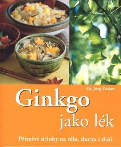 Ginkgo jako lék