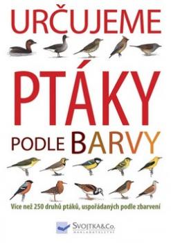 Určujeme ptáky podle barvy