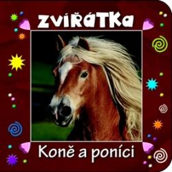 Zvířátka Koně a poníci