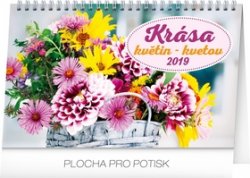 Stolní kalendář Krása květin – Krása kve