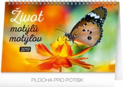 Stolní kalendář Život motýlů – motýlov C