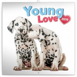 Poznámkový kalendář Young Love 2019, 30