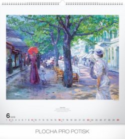 Nástěnný kalendář Mařákovci 2019, 48 x 4