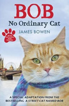 Bob : No Ordinary Cat