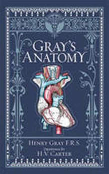 Gray´s Anatomy