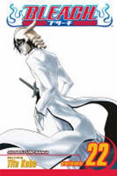 Bleach #22