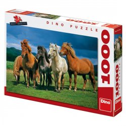 Islandští koně - Puzzle 1000 dílků