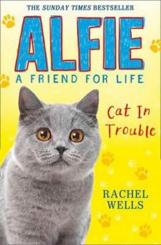 Alfie Cat in Trouble (Alfie A Friend for Life) 