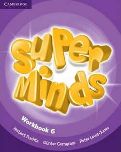 Super Minds 6: Workbook