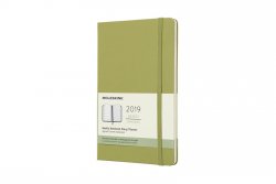 Moleskine: Plánovací zápisník 2019 tvrdý světle zelený L