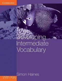 Developing Intermediate Vocabulary 