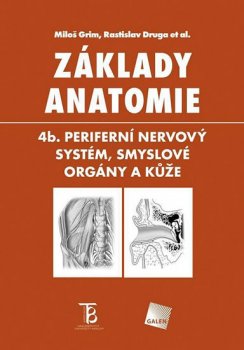 Základy anatomie 4b: Periferní nervový systém, smyslové orgány a kůže