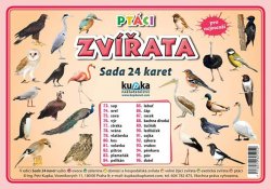 Sada 24 karet - zvířata (ptáci) A5