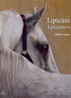Lipicáni - Lipizzaners