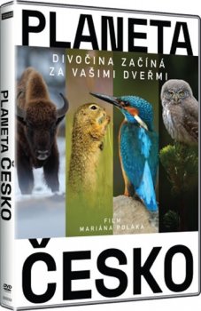 Planeta Česko - Divočina začíná za vašimi dveřmi - DVD