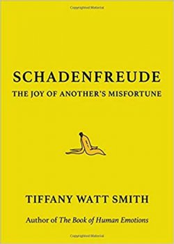 Schadenfreude : The Joy of Another´s Misfortune