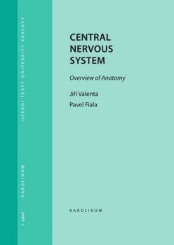 Central Nervous System Overview of Anatomy
