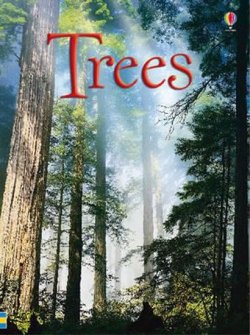 Trees: Usborne Beginners 