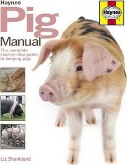 Pig Manual