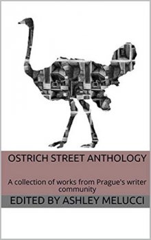 Ostrich Street Anthology