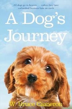 Dog´s Journey