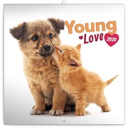 Poznámkový kalendář Young Love 2020, 30 × 30 cm