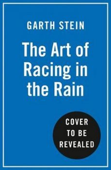 ART OF RACING IN RAIN PB