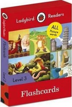 Ladybird Readers Level 3 Flash