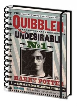 Zápisník Harry Poter  - Quibbler 