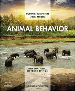 Animal Behavior