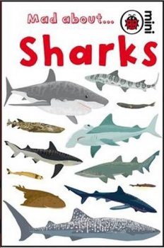 Mad About Sharks