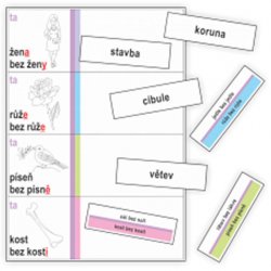 Vzory podstatných jmen - kartičky k procvičování třídění slov podle vzorů podstatných jmen