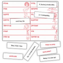 Vyjmenovaná slova - kartičky k procvičování Y, Ý, I, Í po obojetných souhláskách v kořenu slova