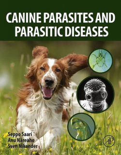 Canine Parasites Parasitic Dis