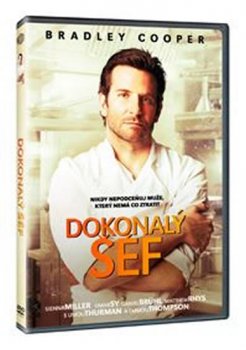 Dokonalý šéf DVD