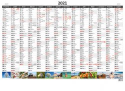 Kalendář 2021 nástěnný: Plánovací roční mapa A1 obrázková, 880x640