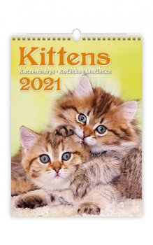 Kalendář 2021 nástěnný: Kittens/Katzenbabys/Koťátka/Mačičky, 240x330