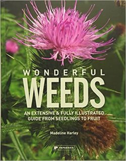 Wonderful Weeds