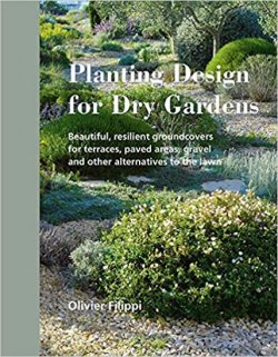 Planting Design for Dry Garden