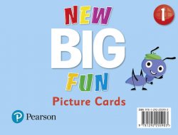 New Big Fun 1 Picture Cards