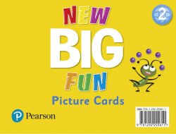 New Big Fun 2 Picture Cards