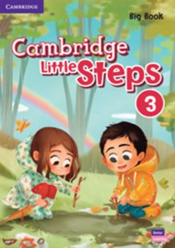 Cambridge Little Steps 3 Big Book