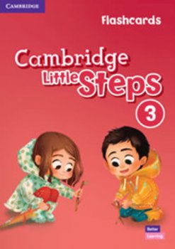 Cambridge Little Steps 3 Flashcards