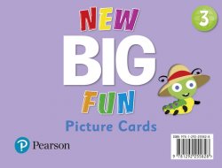 New Big Fun 3 Picture Cards