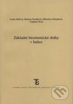 Základní biochemické dráhy v buňce