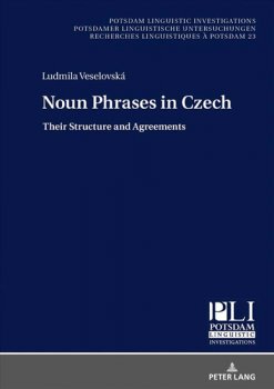 Noun Phrases in Czech : Their Structure and Agreements