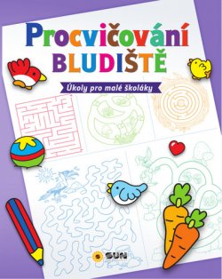 Procvičování - Bludiště