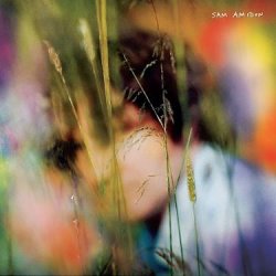 Sam Amidon - 2 LP