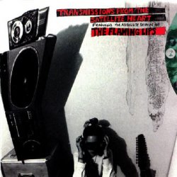 The Flaming Lips: Transmissions From the Satellite Heart - LP