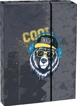 Stil Box na sešity s klopou A4 Cool bear